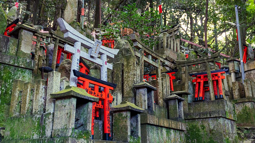 京都伏見稻荷山上鳥居