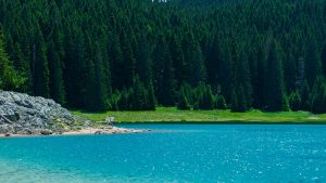 黑湖（Black Lake）湖畔景致寧靜優美，夏季午後陽光灑落水面，是蒙特內哥羅杜米托爾國家公園最迷人的自然風光之一。