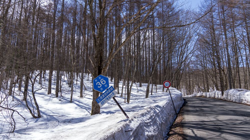 從奧社步行往中社途中，馬路旁雪景與樹林