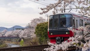 日本交通攻略｜春天櫻花景色中的火車，自由行必備交通方式